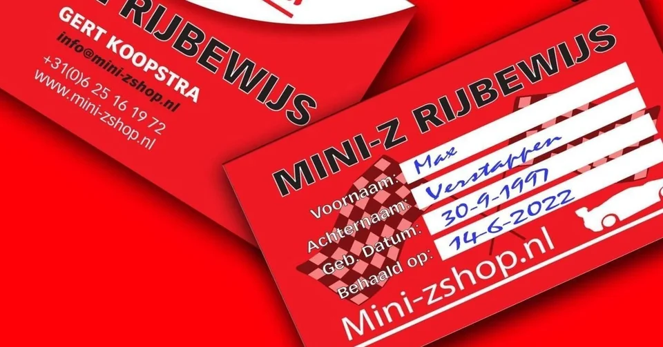 Voorbeeld van het Mini-Z-rijbewijs dat deelnemers aan een kinderfeestje krijgen