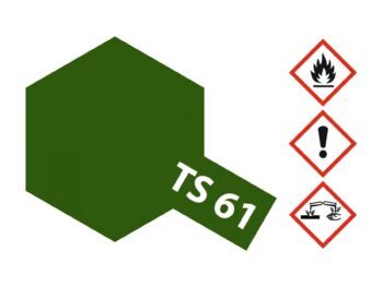 De afbeelding toont een zeshoekig vlak in een donkergroene kleur, met de tekst 'TS 61' eroverheen geschreven. Rechts zijn drie gevaarsymbolen te zien: een vlam, een uitroepteken en een symbool voor corrosie.