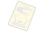 Decals, high visibility, white, TRX7984