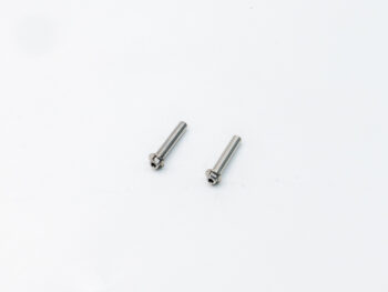 Twee kleine zilverkleurige metalen kingpins voor een RC-auto op een witte achtergrond.